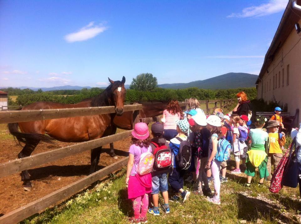 Bio Farma & Penzion Zlaty Hyl Novacany ภายนอก รูปภาพ