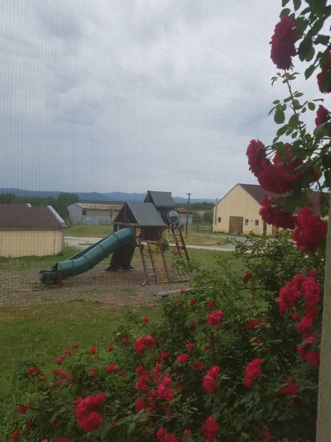 Bio Farma & Penzion Zlaty Hyl Novacany ภายนอก รูปภาพ