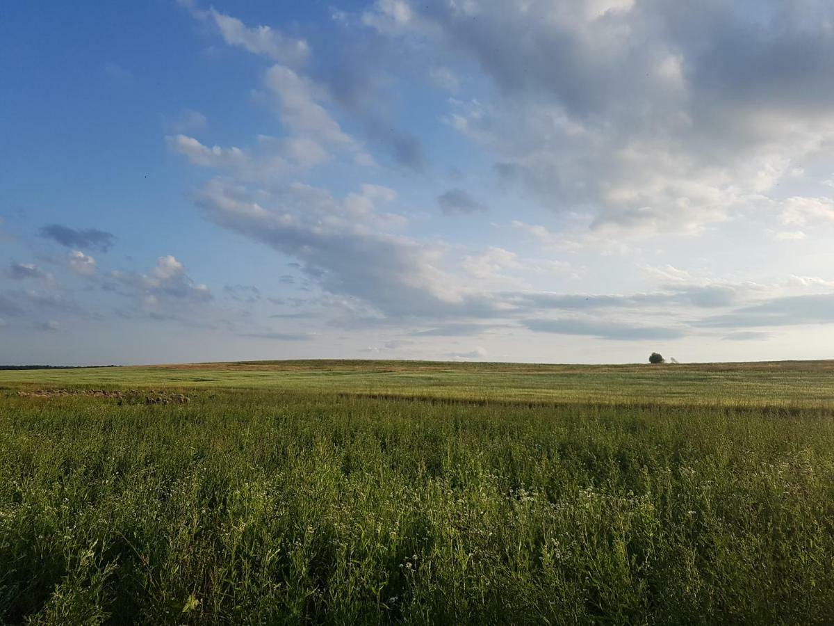 Bio Farma & Penzion Zlaty Hyl Novacany ภายนอก รูปภาพ